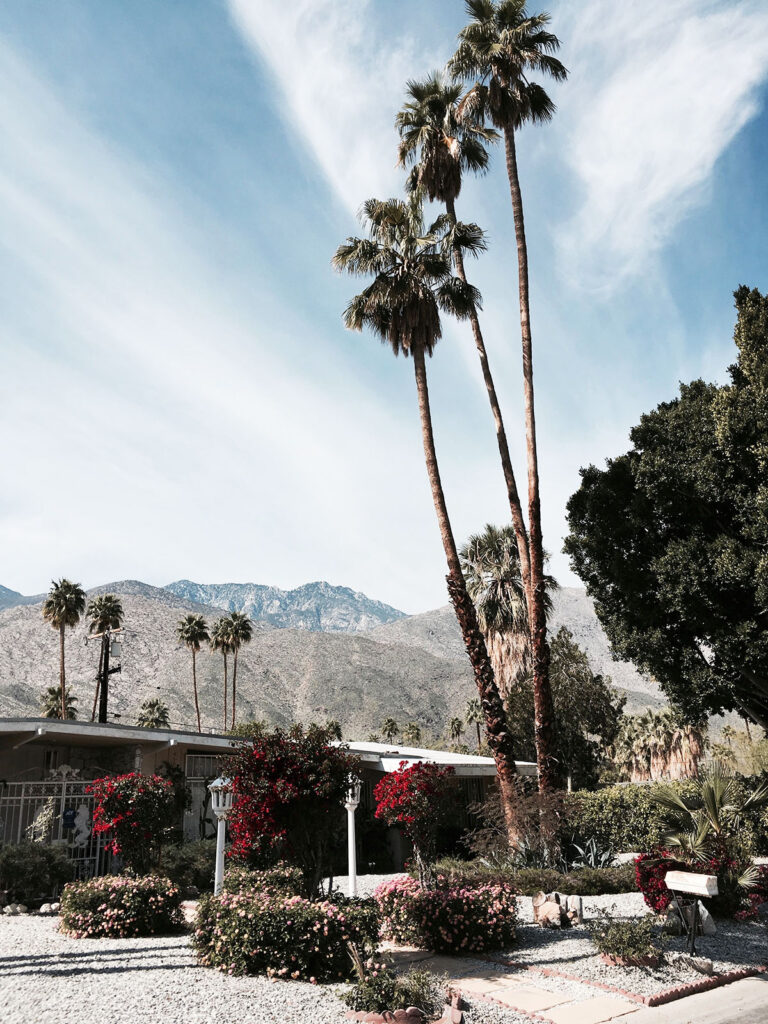 Palm Springs Travel Guide